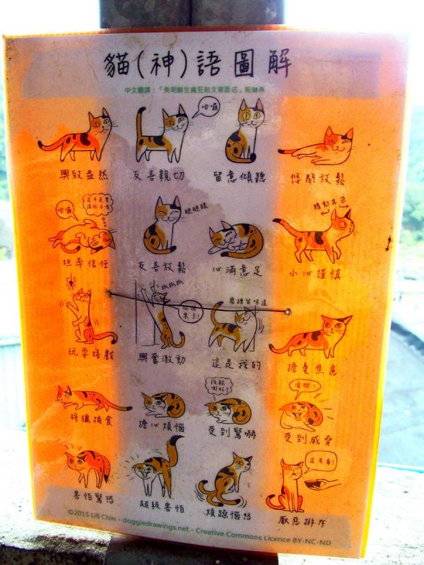 猴硐猫村