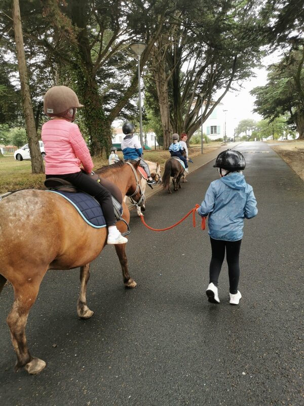 équitation