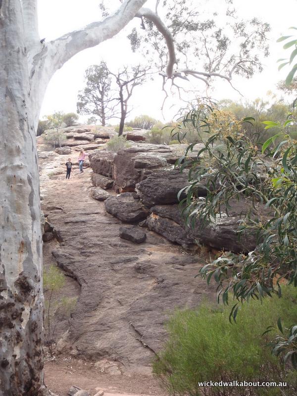 Wilpena Pound.
