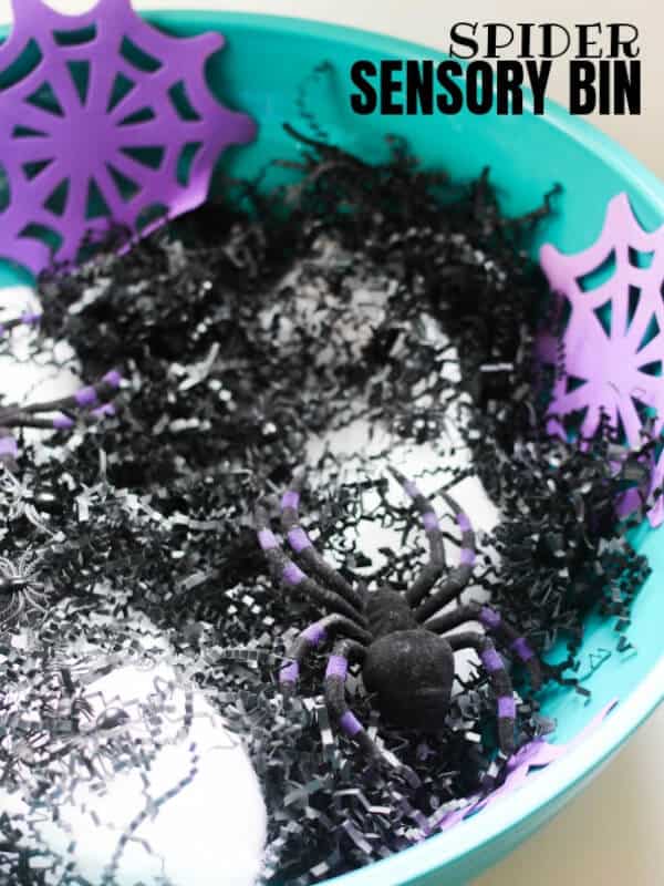 A fun and spooky Spider Sensory Bin for Halloween