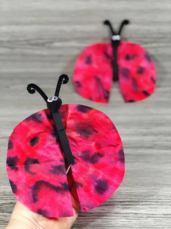 coffee filter ladybug