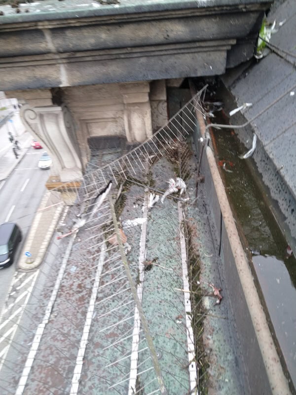 Taubenspikes Reparatur - Meister im Seil GmbH - Industriekletterer Hamburg
