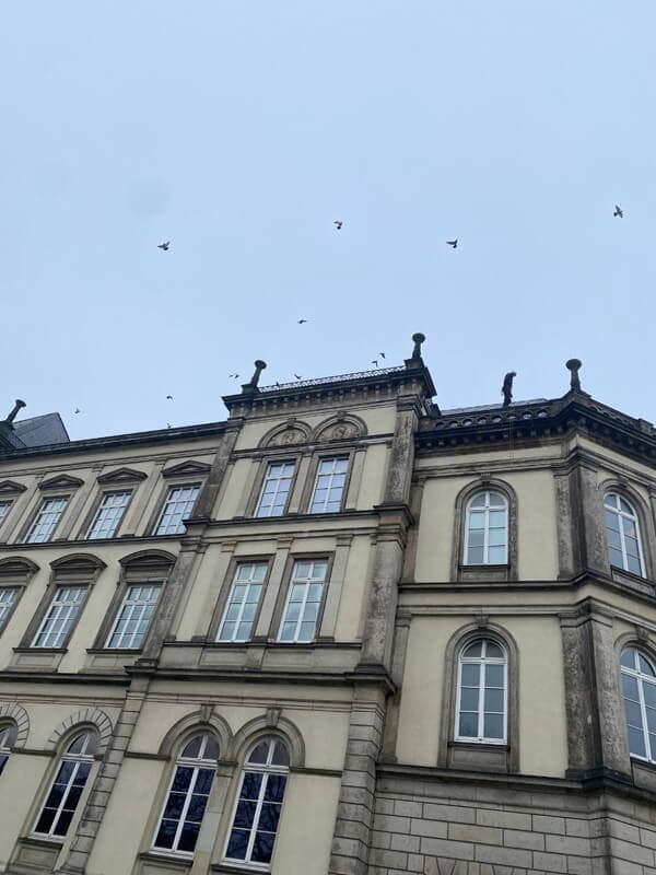 Dachsichtprüfung - Meister im Seil GmbH - Industriekletterer Hamburg