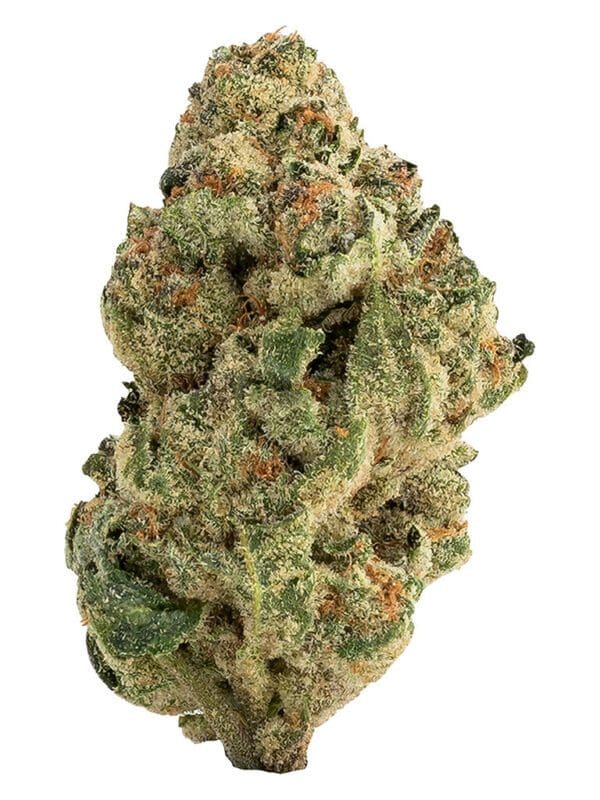 The Loud Plug Venom OG 28g Montrose Cannabis