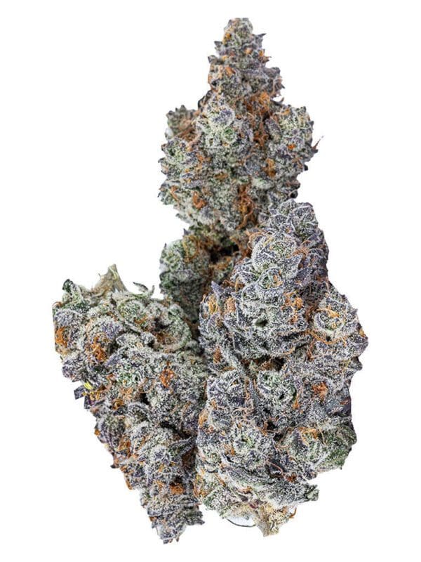 Sixty Seven Sins Gary Satan 3.5g Montrose Cannabis 67 sins