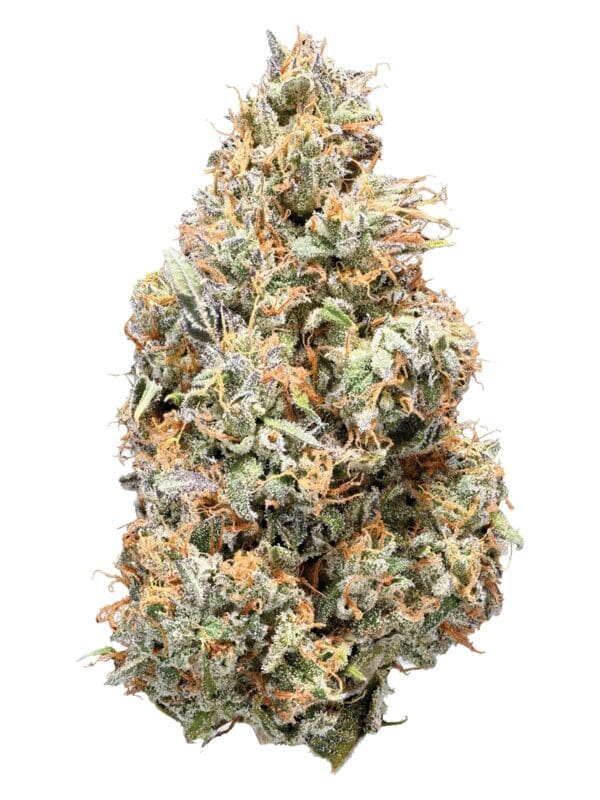 Nugs Sativa 14g Montrose Cannabis