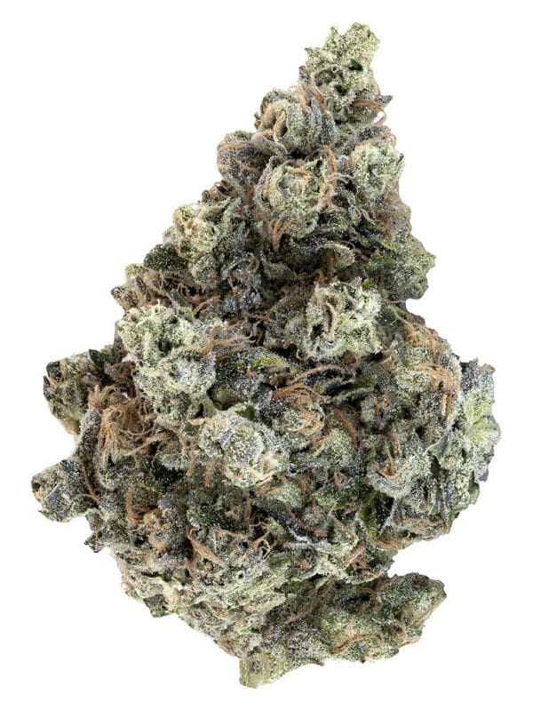 Country Club koots canna