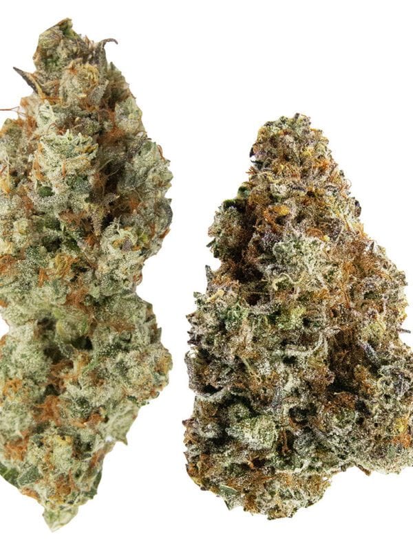 Yin Yang 14g <br>Hybrid <br>Sticky Glove 30.34% | Chocolope 29% <br>2.3% Terps