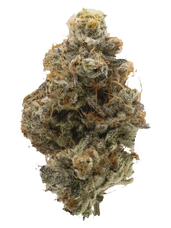 Northern Canna Atomic Marker 7g Montrose Cannabis