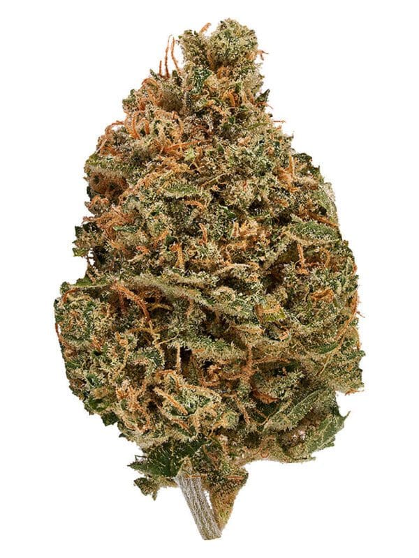 Bud Lafleur Citroli 14g Montrose Cannabis