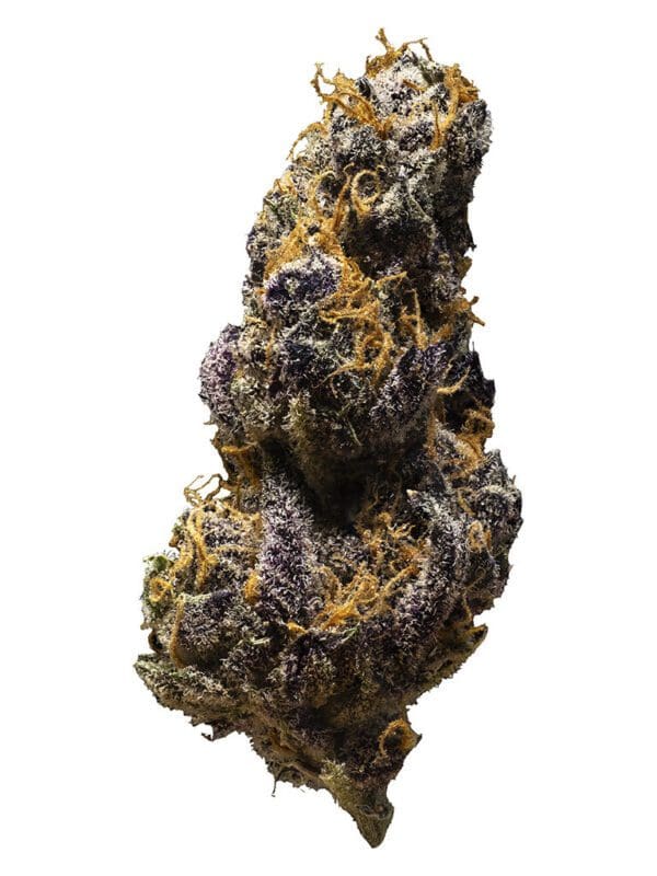 black cheese 7g indica 3rd coast genetics