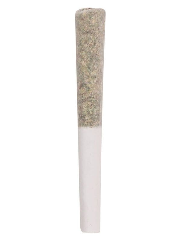 Permanent Marker Pre-Rolls 10 Pack