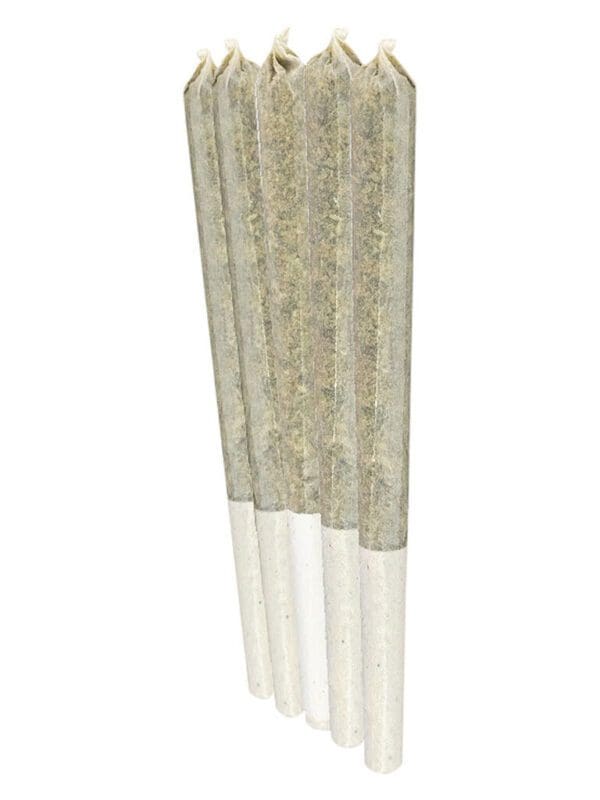 Watermelon Gushers Pre-Rolls 10 Pack