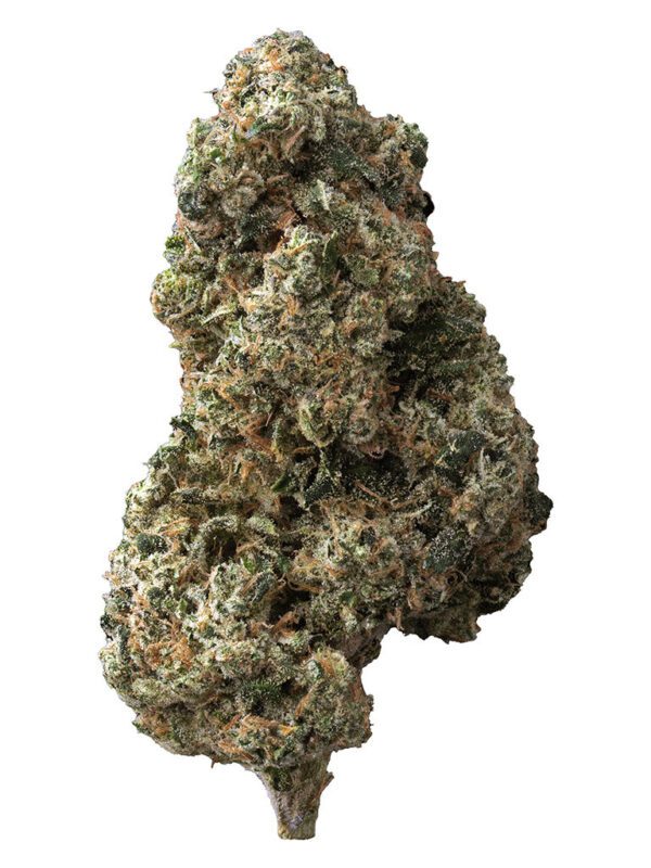 Sticky Bunz 28g by The Loud Plug