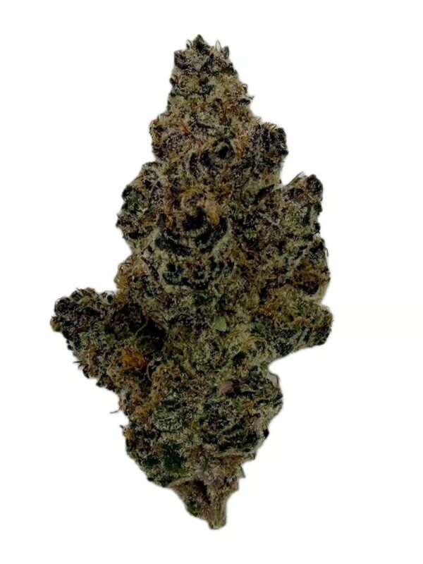 Scarborough Selects 3.5g Flower – Unit 15 Hybrid | Montrose Cannabis
