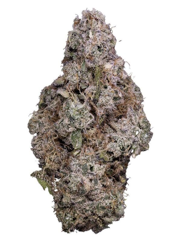 Porto Leche 3.5g by Tribal