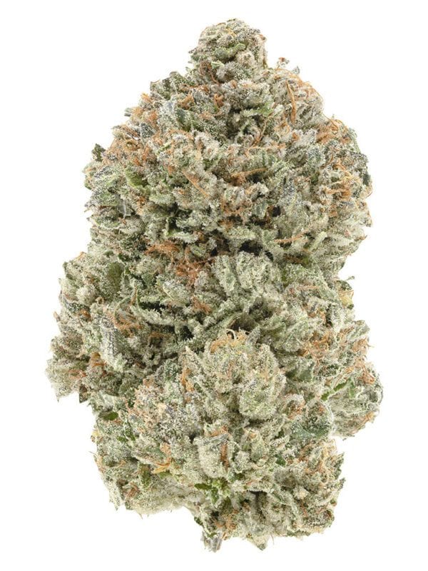 Stinky Pinky 28g by 1964