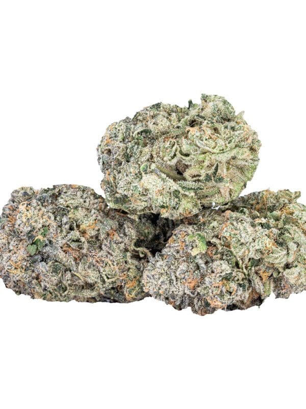 EXPO67 3.5g by Sixty Seven Sins