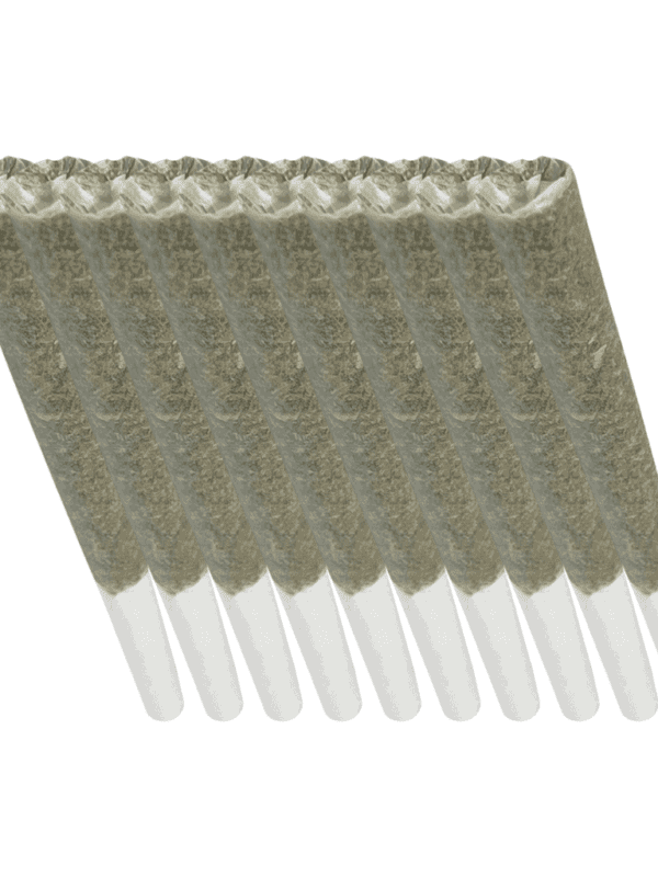 Hawaiian Snowcone 10x1g Hybrid 1Spliff