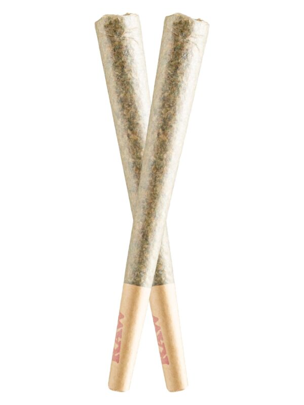 Rocketman Preroll 2 pack by Vibe