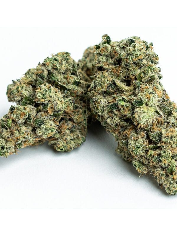 strains-limited-first-class-gas