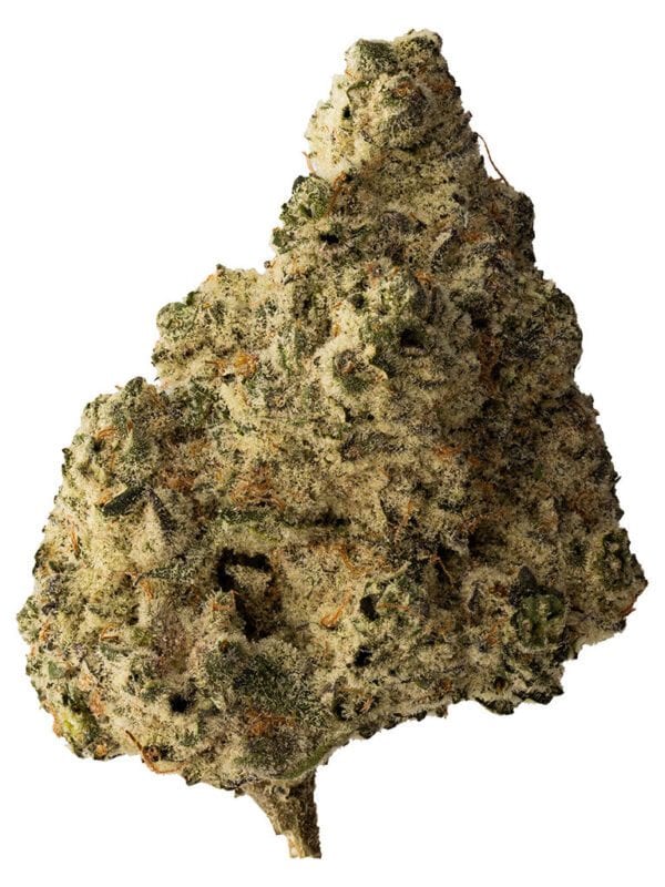 Lemon Gelato 28g by The Loud Plug