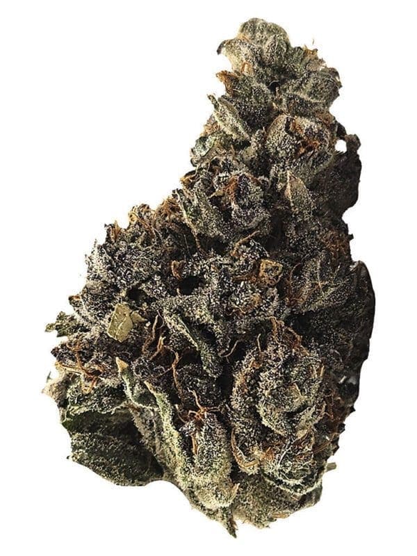 91 Ox 14g by MTL Cannabis