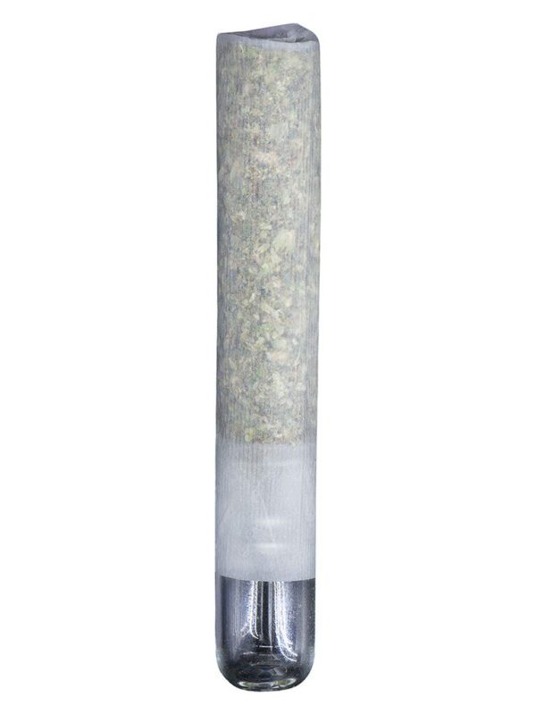 Snake in the Grass Infused Pre-Roll Single by Northern Canna