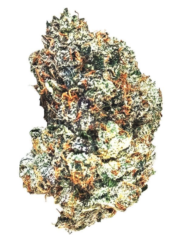 Gas n’ Up 28g by MTL