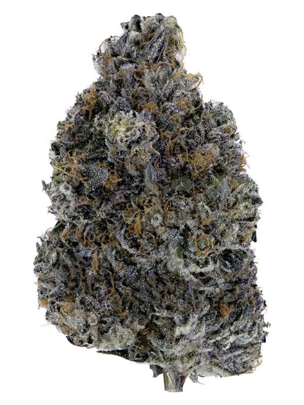 Dark Rainbow 3.5g by Woody Nelson