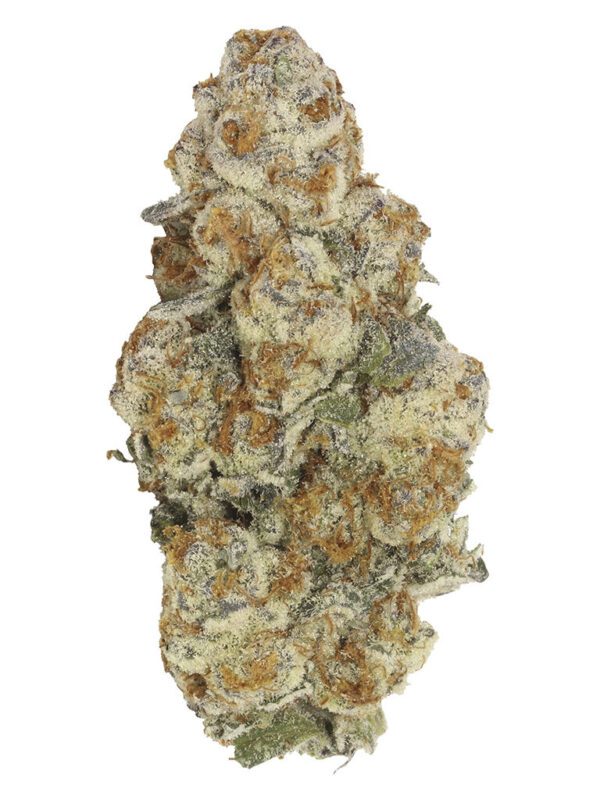 Astronaut Status 3.5g Carmel Hybrid