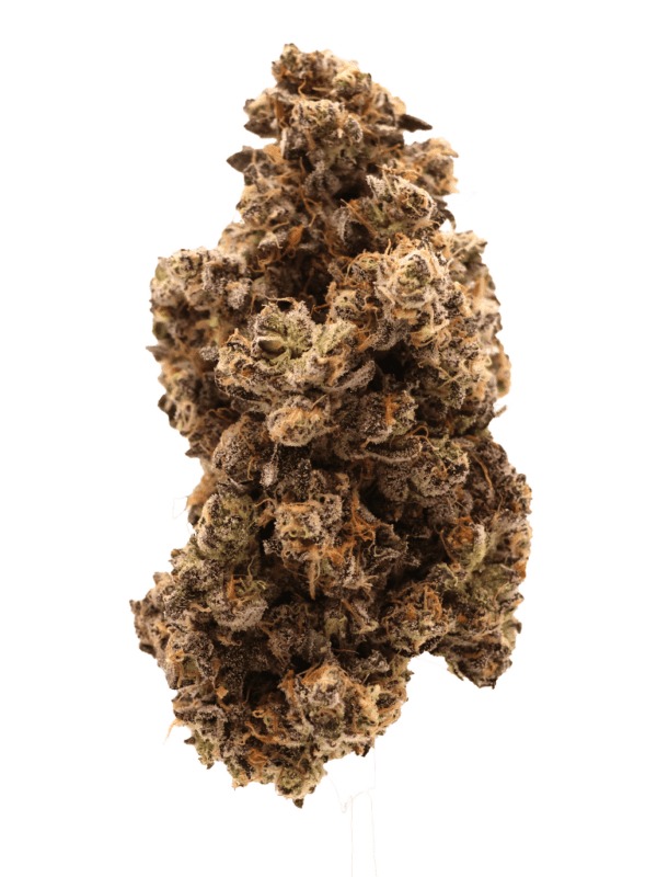 Black Cherry Soda 7g by Unit 15