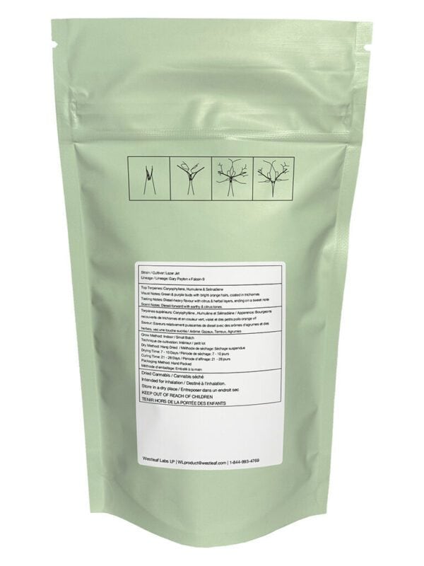 Lazer Jet Craft 7g by Qwest