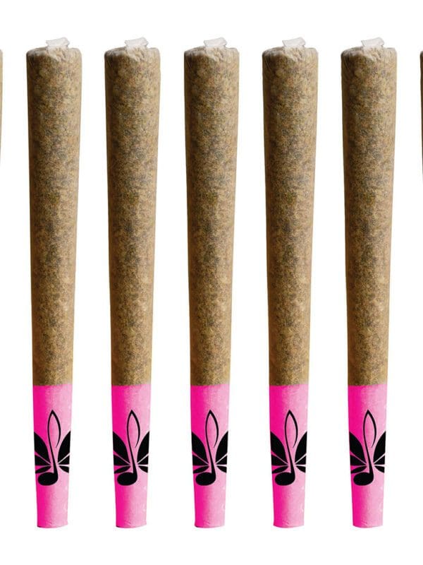 Black Gas Pre-Rolls 10 Pack by High Note at Montrose Cannabis