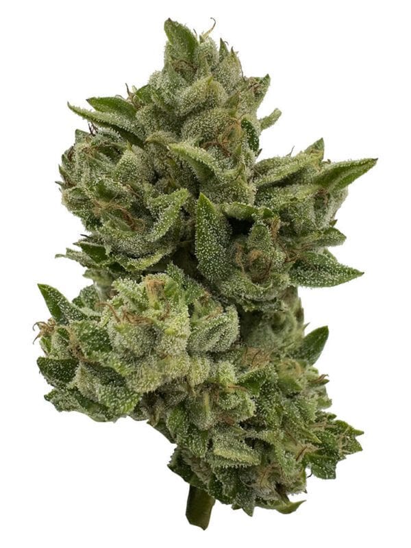 Pretty Sweet Sativa 28g by Deelish