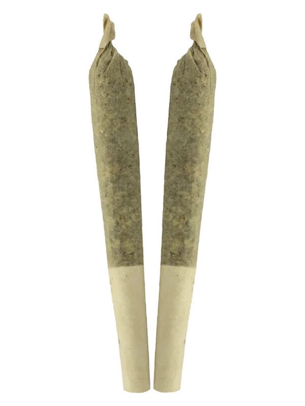 Key Lime Pie Pre-Rolls 2 Pack by Sheeesh!
