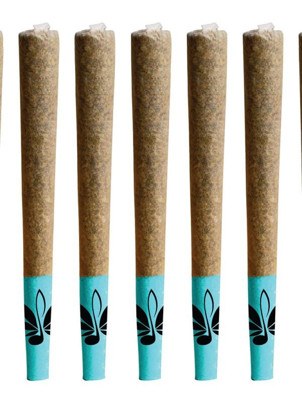 The Blues Pre-Rolls 10 Pack by High Note Hybrid at Montrose Cannabis