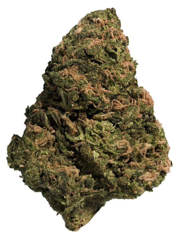 BC Organic Sungrown Bonkers 28g by Big Steal