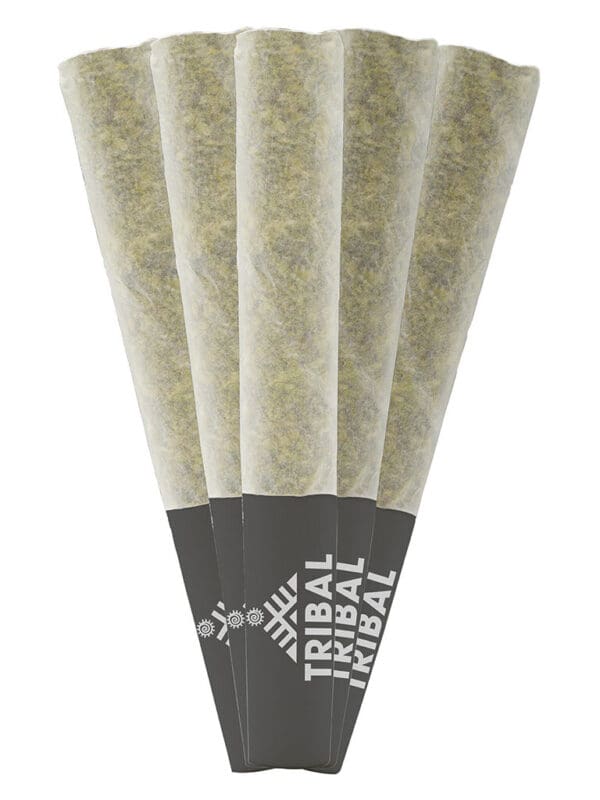 Gran Turismo Pre-Rolls 5 Pack Tribal Indica Montrose Cannabis