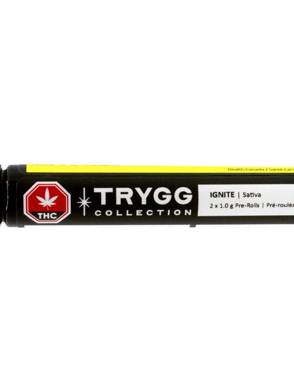 IGNITE Pre-Rolls 2 Pack by TRYGG Sativa at Montrose Cannabis