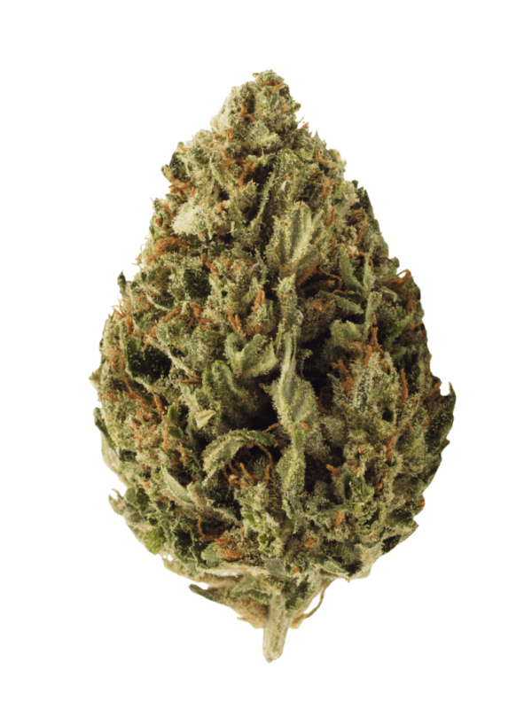 Grown Here Farms Organic CBD Flower (7g & 30g)