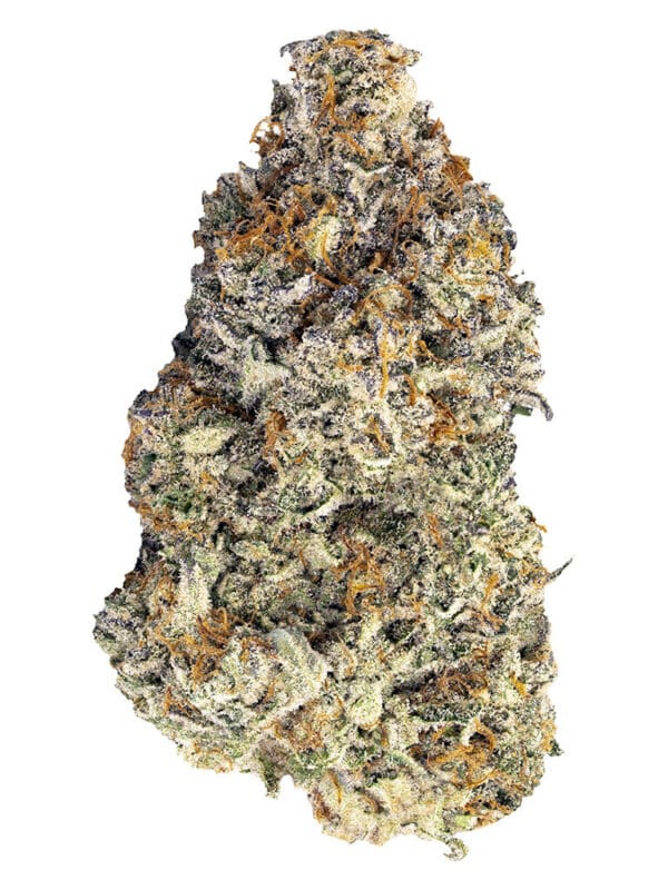 Britscotti 7g BLK MKT Indica Montrose Cannabis