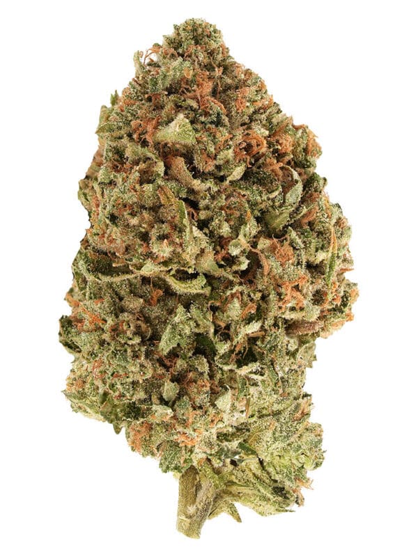 BC Organic Tea Time #7 28g Simply Bare Indica Montrose Cannabis