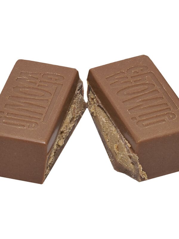 Peanut Butter Balanced Chocolate 1 Pack Chowie Wowie CBD Montrose Cannabis