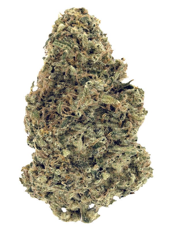 Warehouse Premium Smalls 3.5g Woody Nelson Hybrid Montrose Cannabis