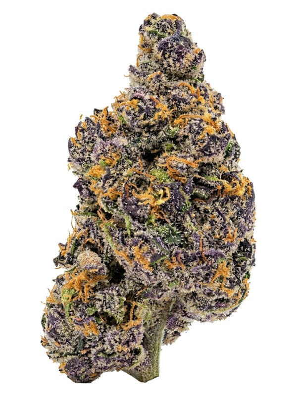 Aurora Frost 7g hybrid Ivory Montrose Cannabis