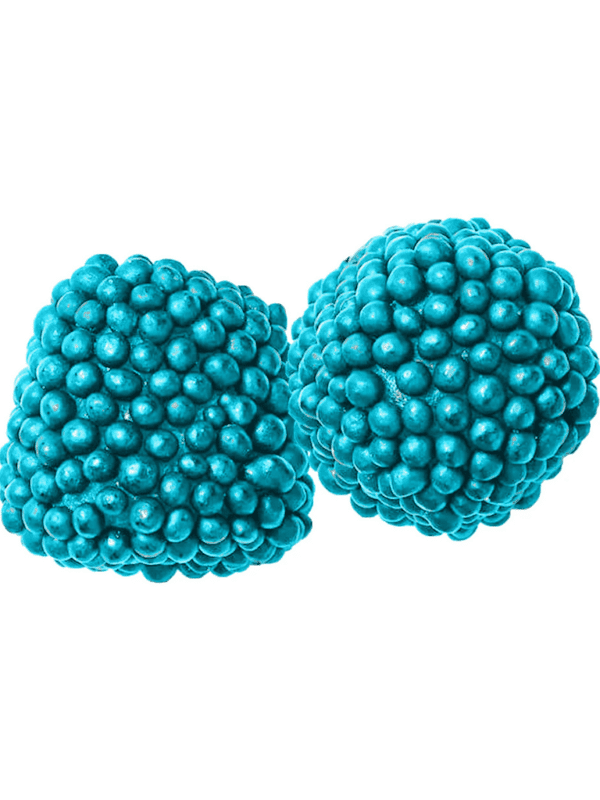 Electric Blue Razz Berries Live Rosin Soft Chews 2 Pack A-Ha! Sativa Montrose Cannabis