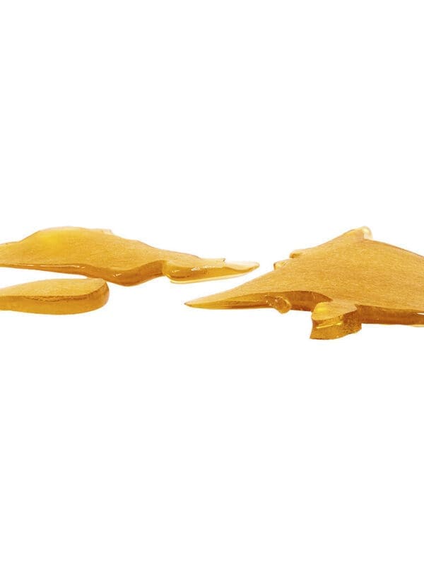 House Shatter (OG Gas Series) 1g Hotbox Hybrid Montrose Cannabis