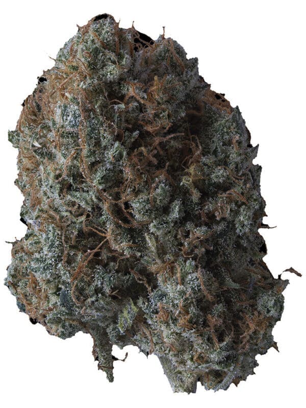 B!tch Slap 3.5g Supernova Farms Indica Montrose Cannabis