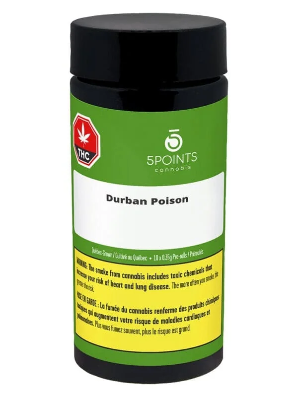 5 Points Durban Poison Pre-Rolls cannabis pre-rolls multi-pack close-up at Montrose Cannabis